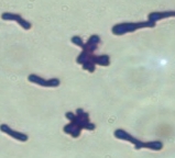 wps99EF.tmp.jpg